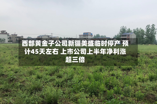西部黄金子公司新疆美盛临时停产 预计45天左右 上市公司上半年净利涨超三倍