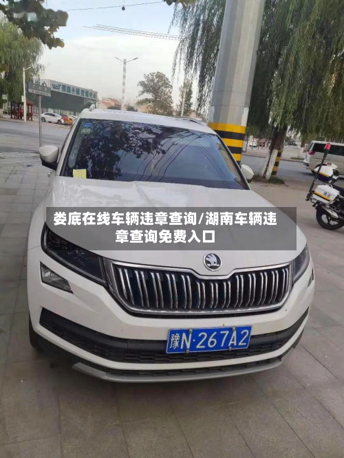 娄底在线车辆违章查询/湖南车辆违章查询免费入口-第3张图片