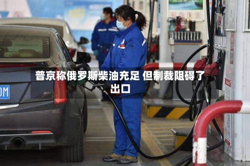 普京称俄罗斯柴油充足 但制裁阻碍了出口