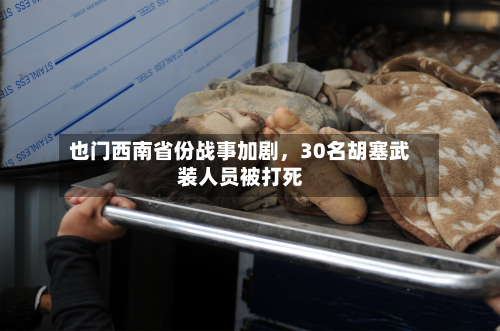 也门西南省份战事加剧	，30名胡塞武装人员被打死-第2张图片