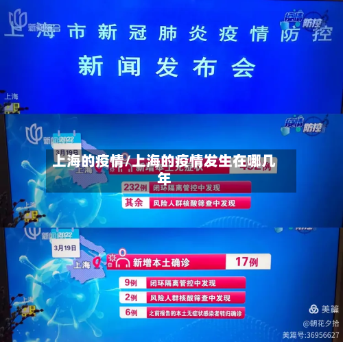 上海的疫情/上海的疫情发生在哪几年