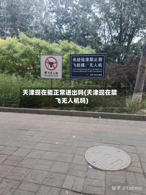 天津现在能正常进出吗(天津现在禁飞无人机吗)-第2张图片