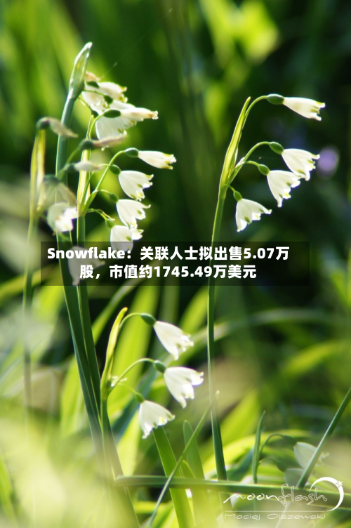 Snowflake：关联人士拟出售5.07万股	，市值约1745.49万美元-第2张图片