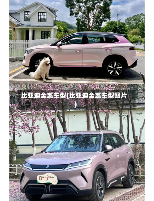 比亚迪全系车型(比亚迪全系车型图片)