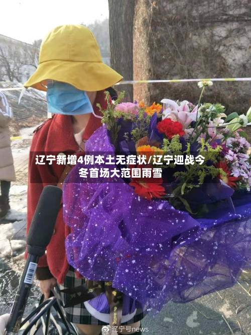 辽宁新增4例本土无症状/辽宁迎战今冬首场大范围雨雪-第3张图片