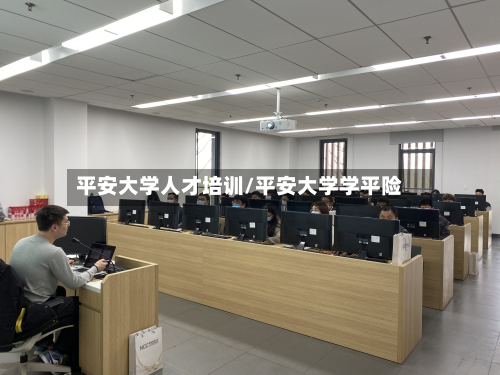 平安大学人才培训/平安大学学平险-第3张图片