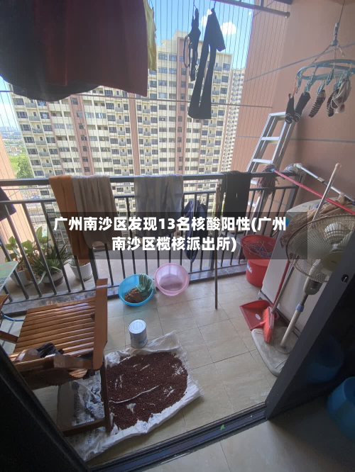 广州南沙区发现13名核酸阳性(广州南沙区榄核派出所)-第2张图片