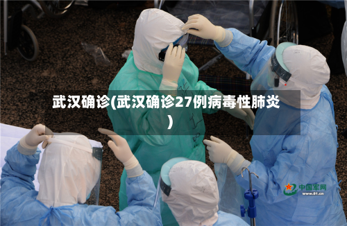 武汉确诊(武汉确诊27例病毒性肺炎)-第2张图片