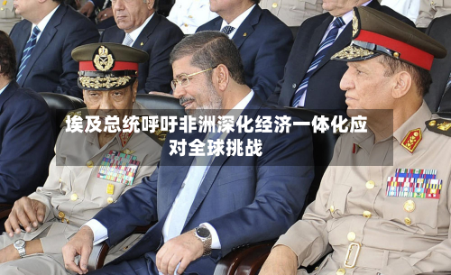 埃及总统呼吁非洲深化经济一体化应对全球挑战-第3张图片