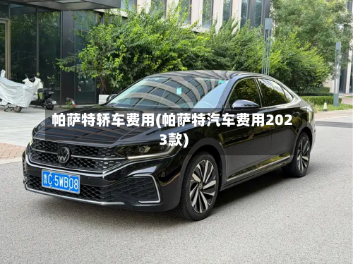 帕萨特轿车费用(帕萨特汽车费用2023款)-第3张图片
