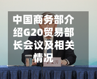 中国商务部介绍G20贸易部长会议及相关情况