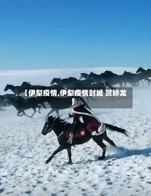 【伊犁疫情,伊犁疫情封城 贺娇龙】