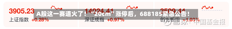 A股这一赛道火了！“20cm	”涨停后，688185紧急公告！-第1张图片
