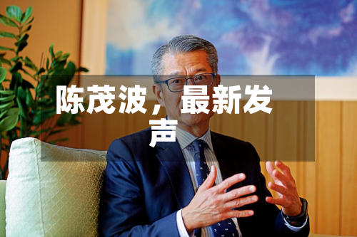 陈茂波，最新发声-第2张图片