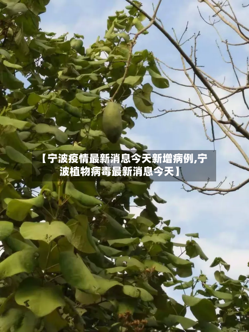 【宁波疫情最新消息今天新增病例,宁波植物病毒最新消息今天】