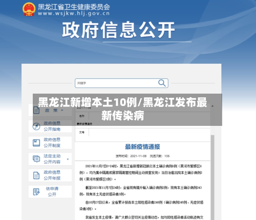 黑龙江新增本土10例/黑龙江发布最新传染病-第2张图片