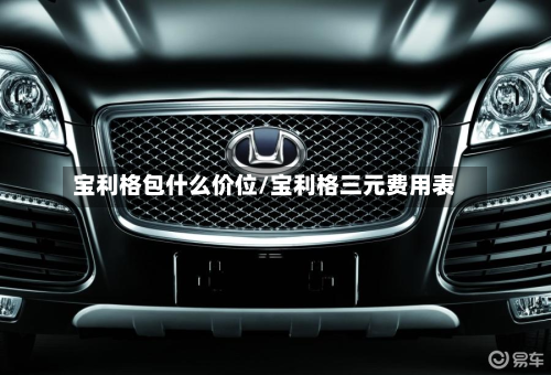 宝利格包什么价位/宝利格三元费用表