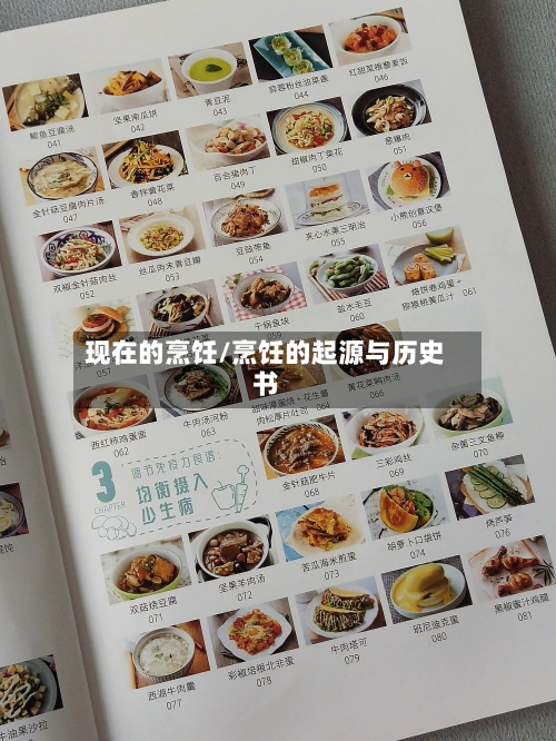 现在的烹饪/烹饪的起源与历史书-第3张图片
