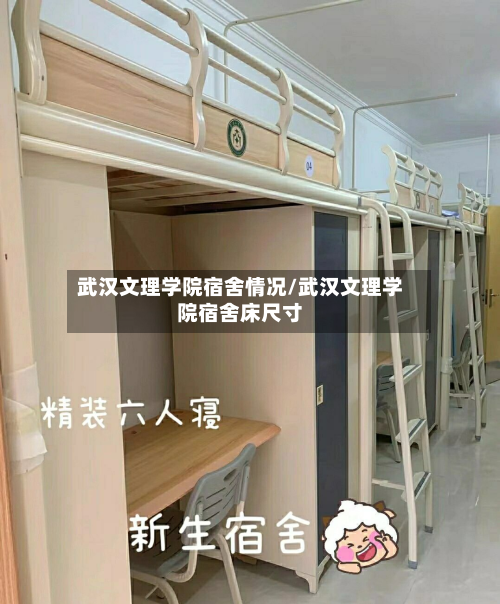 武汉文理学院宿舍情况/武汉文理学院宿舍床尺寸-第2张图片