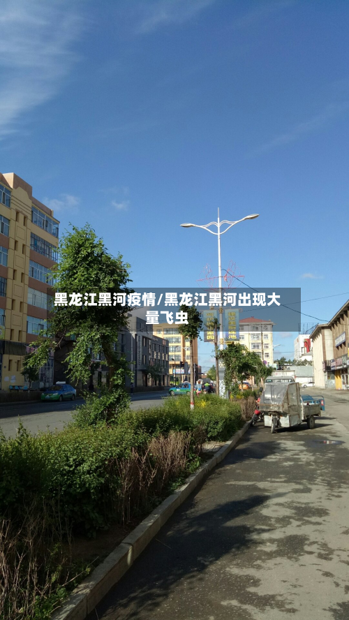 黑龙江黑河疫情/黑龙江黑河出现大量飞虫-第3张图片