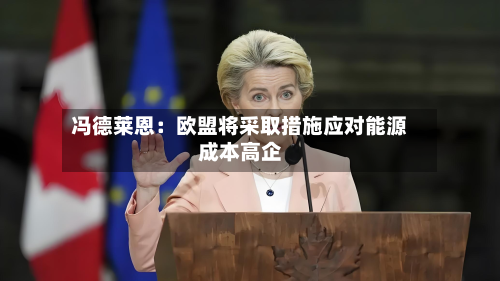 冯德莱恩：欧盟将采取措施应对能源成本高企-第2张图片
