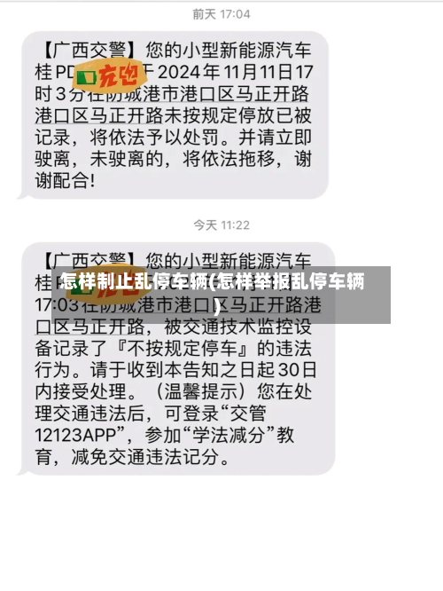 怎样制止乱停车辆(怎样举报乱停车辆)