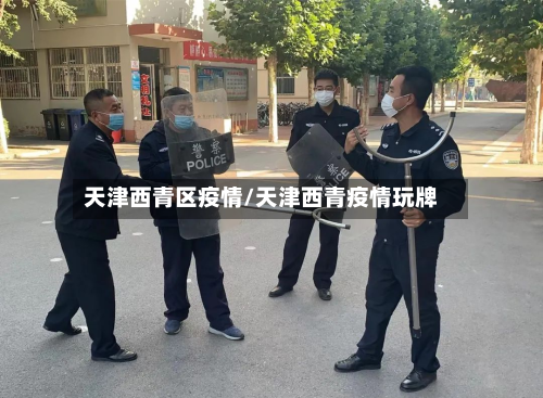 天津西青区疫情/天津西青疫情玩牌-第2张图片