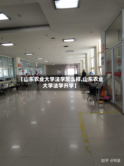 【山东农业大学法学怎么样,山东农业大学法学升学】-第2张图片