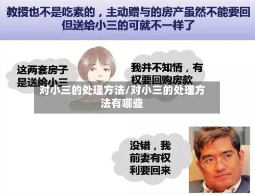 对小三的处理方法/对小三的处理方法有哪些