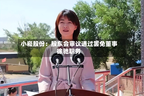 小崧股份：股东会审议通过罢免董事徐驰职务