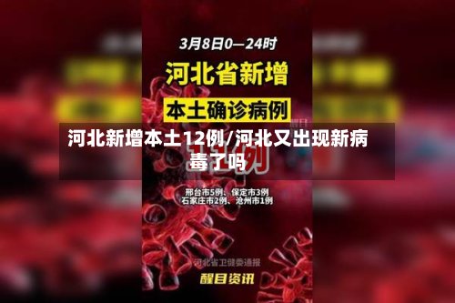 河北新增本土12例/河北又出现新病毒了吗-第3张图片