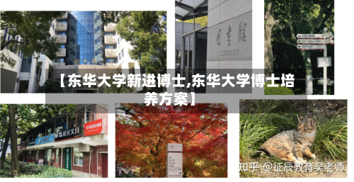 【东华大学新进博士,东华大学博士培养方案】-第2张图片