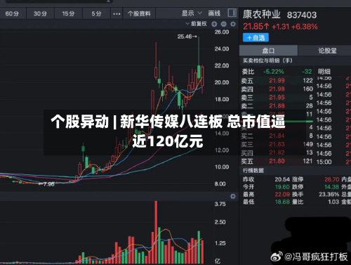 个股异动 | 新华传媒八连板 总市值逼近120亿元-第2张图片