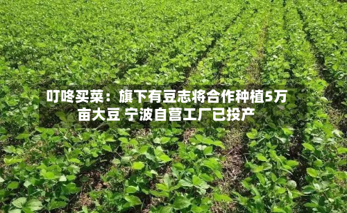 叮咚买菜：旗下有豆志将合作种植5万亩大豆 宁波自营工厂已投产-第2张图片