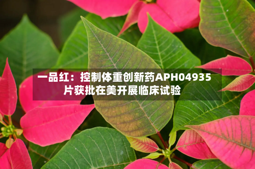 一品红：控制体重创新药APH04935片获批在美开展临床试验-第2张图片