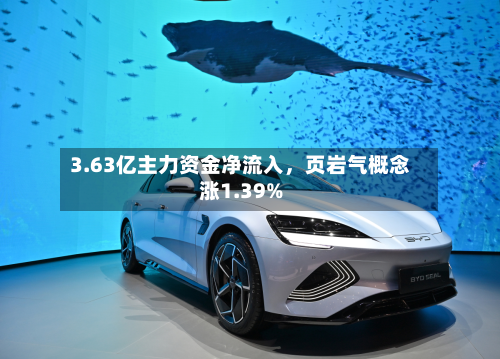 3.63亿主力资金净流入，页岩气概念涨1.39%-第2张图片
