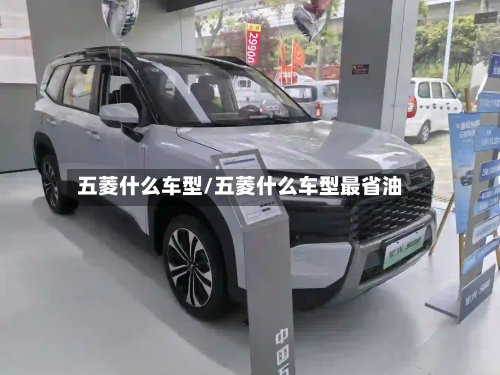 五菱什么车型/五菱什么车型最省油