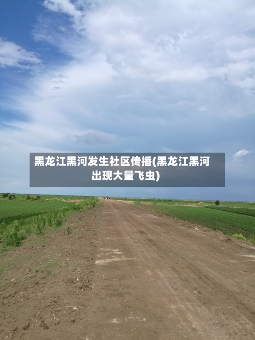 黑龙江黑河发生社区传播(黑龙江黑河出现大量飞虫)