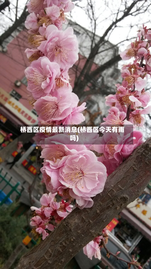 桥西区疫情最新消息(桥西区今天有雨吗)