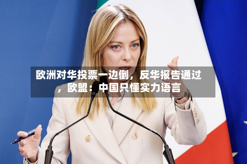 欧洲对华投票一边倒，反华报告通过	，欧盟：中国只懂实力语言-第3张图片