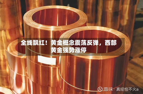 全线飘红！黄金概念震荡反弹，西部黄金强势涨停-第2张图片