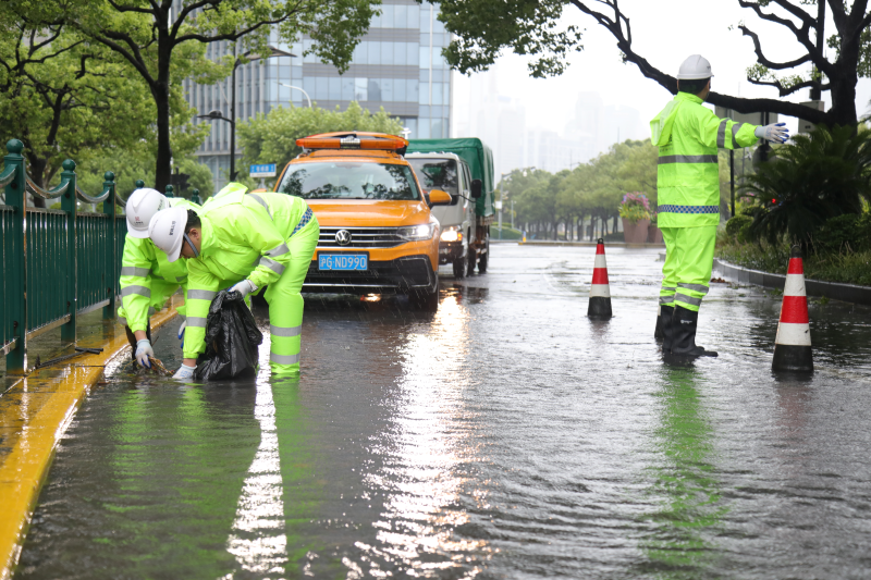 【图集】台风“白海豚”今晨致上海39处道路积水	，正开展抢排清理