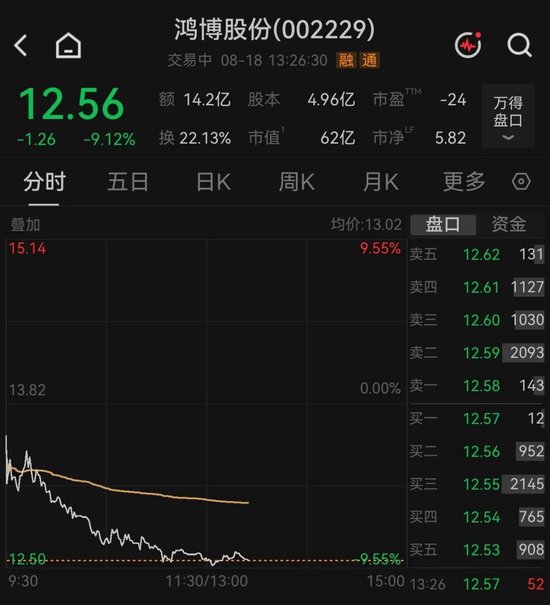 算力租赁人气股，逼近跌停