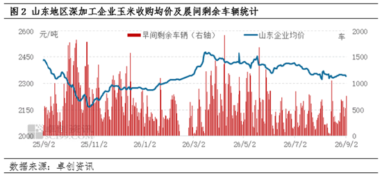 新季玉米上市窗口期开启	，玉米淀粉现货市场价格不断承压