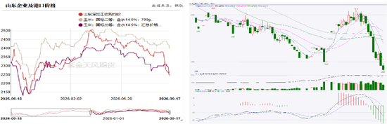 玉米：期现双弱，破位寻底