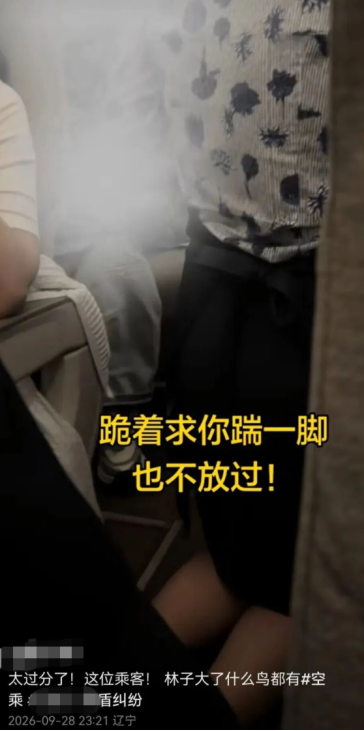 “要让肇事者付出代价！	”东航就“空姐下跪事件”报案，六成网友支持“应加大惩戒辱骂者”
